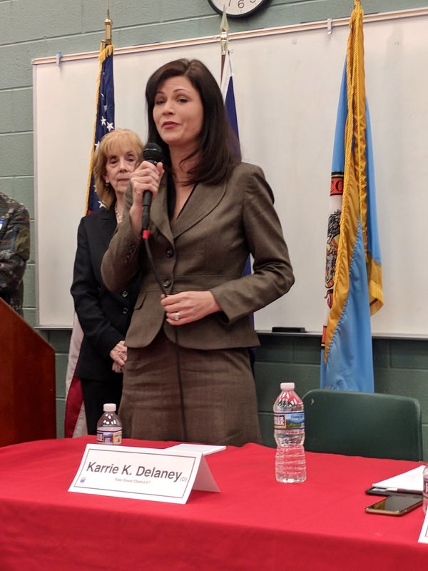 Karrie Delaney, Democratic candidate for the 67th District