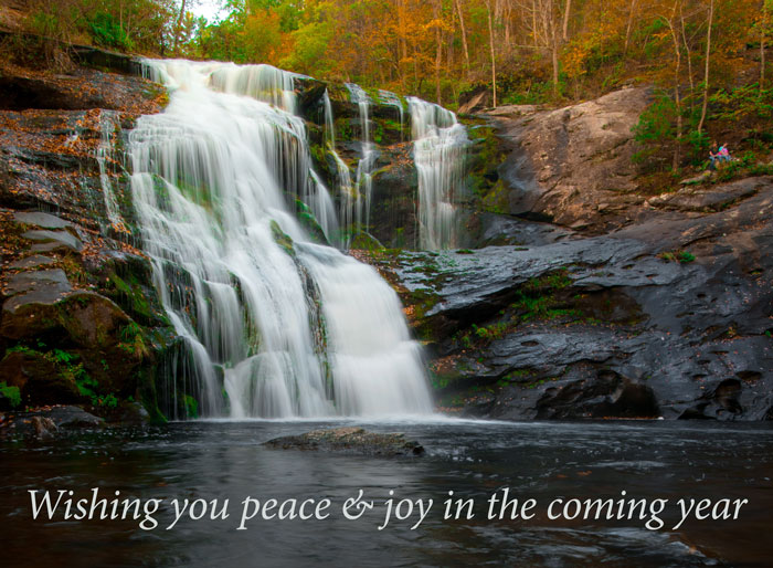 Wishing Peace and Joy
